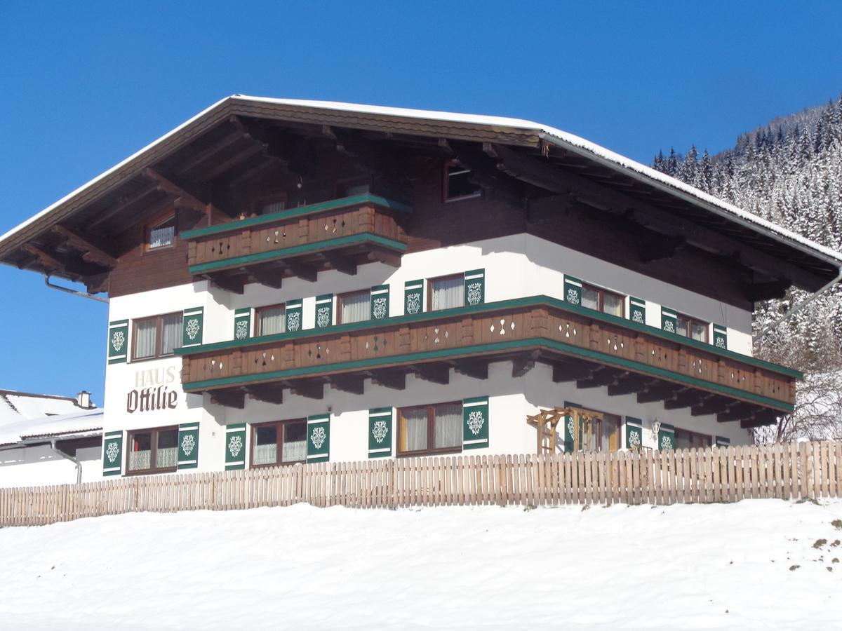 Haus Ottilie Căn hộ Flachau